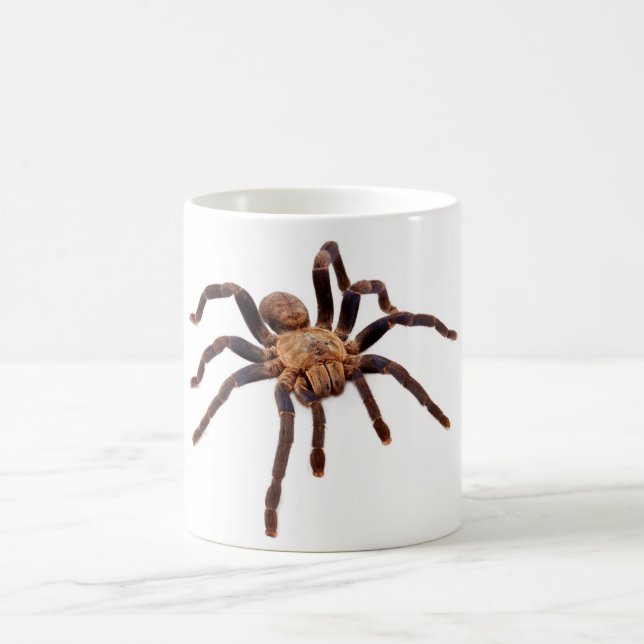 Kobalt-BlauTarantula. Tasse (Mittel)