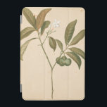 Kobalt-Deko-Panel I iPad Mini Hülle<br><div class="desc">Cobalt Deko Panel I von Chariklia Zarris</div>