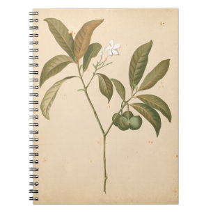 Kobalt-Deko-Panel I Notizblock