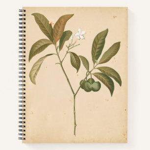 Kobalt-Deko-Panel I Notizbuch