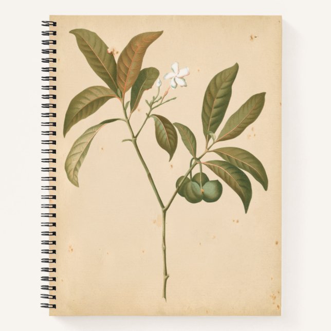 Kobalt-Deko-Panel I Notizbuch (Vorderseite)