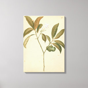 Kobalt-Deko-Platte I Leinwanddruck