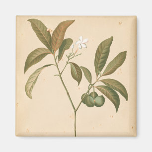 Kobalt-Deko-Platte I Magnet