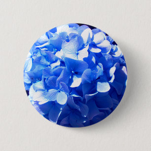 Kobaltblau Blütenblütenelegante Hydrangeas Button