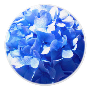 Kobaltblau Blütenblütenelegante Hydrangeas Keramikknauf