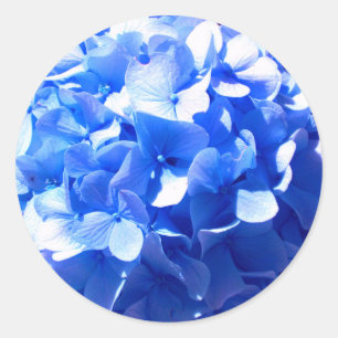 Kobaltblau Blütenblütenelegante Hydrangeas Runder Aufkleber