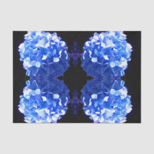 Kobaltblau Blütenblütenelegante Hydrangeas Seidenpapier