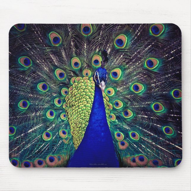 Kobaltblauer Pfau Mousepad (Vorne)