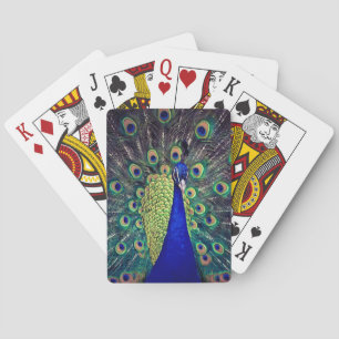 Kobaltblauer Pfau Spielkarten