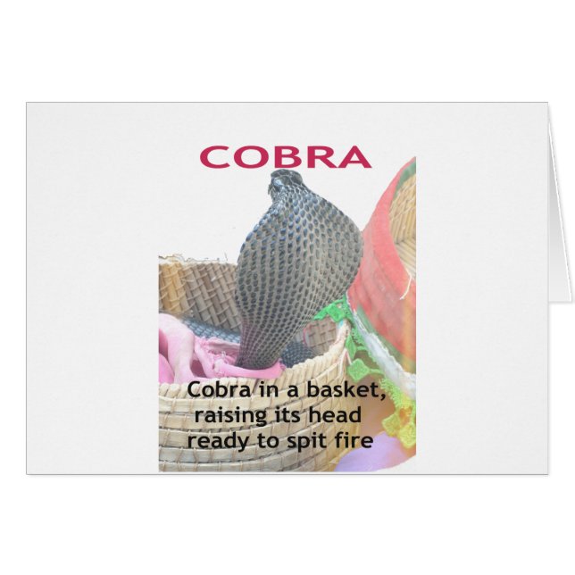 Kobra in einem Korb bereit zum Sprengen des Feuers (Vorderseite (Horizontal))