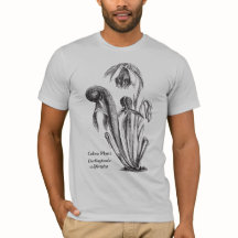 Kobra-Pflanzen-botanische Kunst