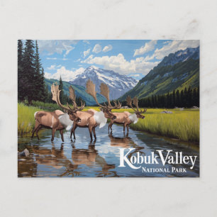 Kobuk Valley Karibu-Herde Alaska Kunst Postkarte