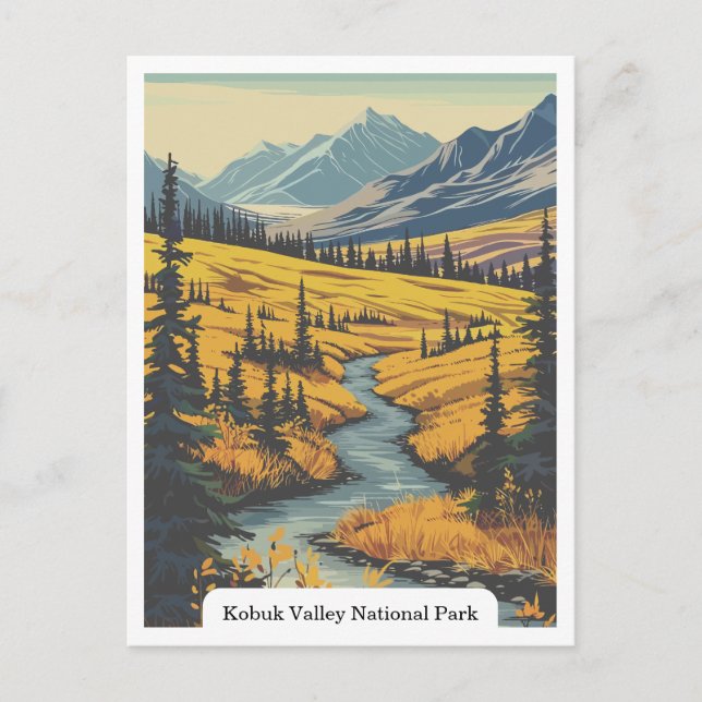 Kobuk Valley National Park, Alaska USA Postkarte (Vorderseite)