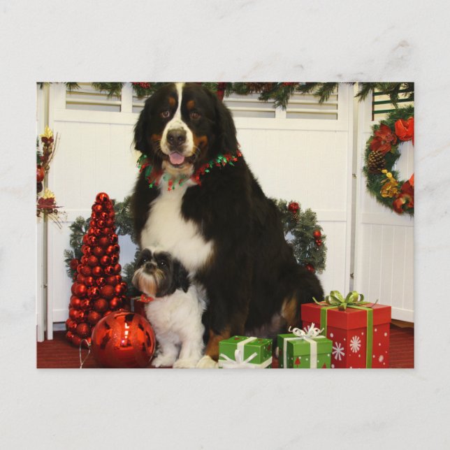 Kobus und Grover - Eiting - Foto 4 Postkarte (Vorderseite)