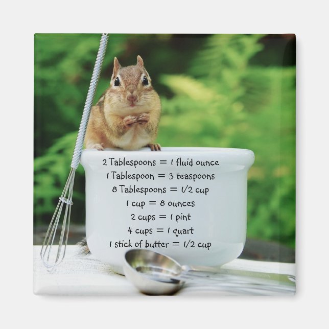 Koch Chipmunk-Messäquivalente Magnet (Vorne)