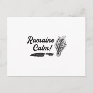 Koch Cook Küche Küche Romaine Ruhe Funny Geschenk Postkarte
