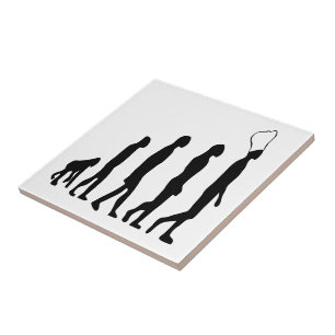 Koch Evolution Fliese