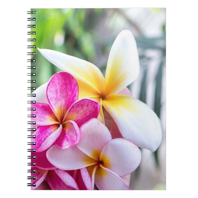 Kochbuch für Orchideen, Opal Hawaiian Blume Notizblock (Vorderseite)