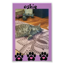 Kodak Beruflich Foto Paper (Satin)