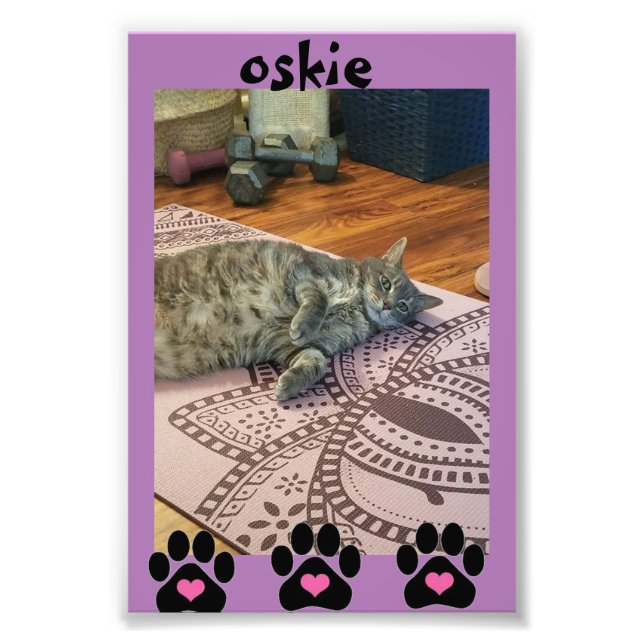 Kodak Beruflich Foto Paper (Satin) (Vorne)