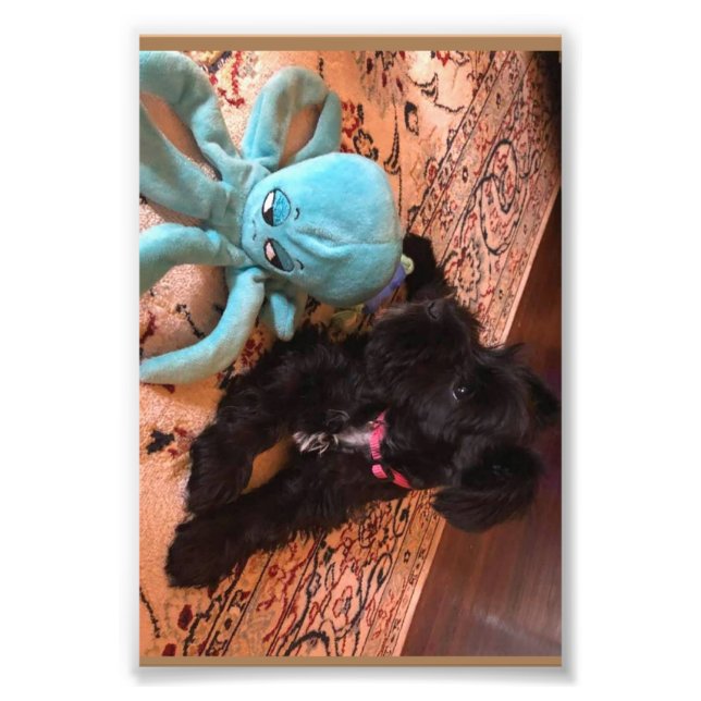 Kodak Beruflich Foto Paper (Satin) (Vorne)