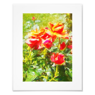 KODAK Print Orange Rose Fotodruck