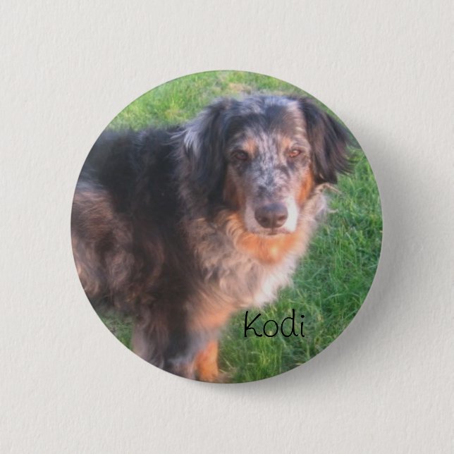 Kodi Hund Button (Vorderseite)