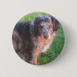 Kodi Hund Button