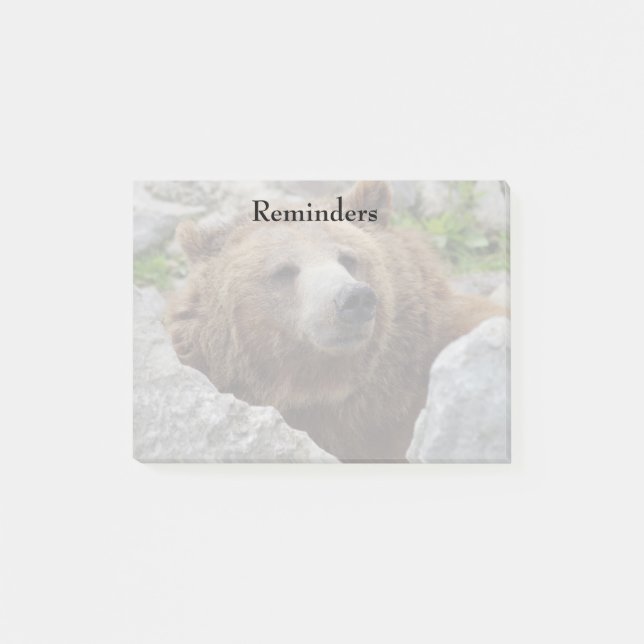 Kodiak Bär Post-it Klebezettel (Vorderseite)