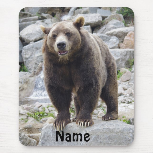 Kodiak-Bär Stehend auf einem Felsen Mousepad (Vorne)