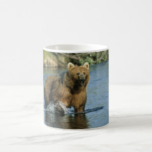 Kodiak-Bär Tasse