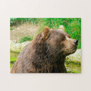 Kodiak Bären. Jigsaw Puzzle