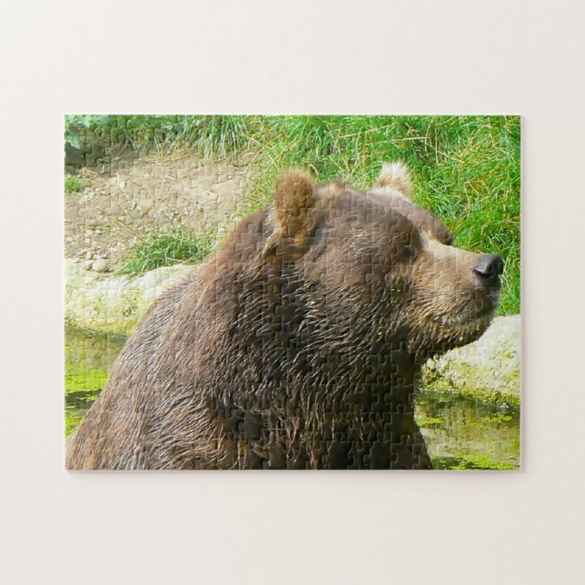 Kodiak Bären. Jigsaw Puzzle (Horizontal)