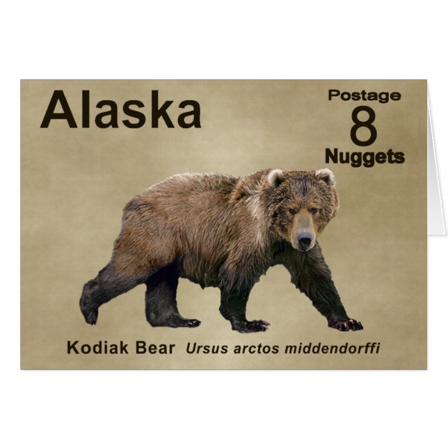 Kodiak Bear (Vorderseite (Horizontal))