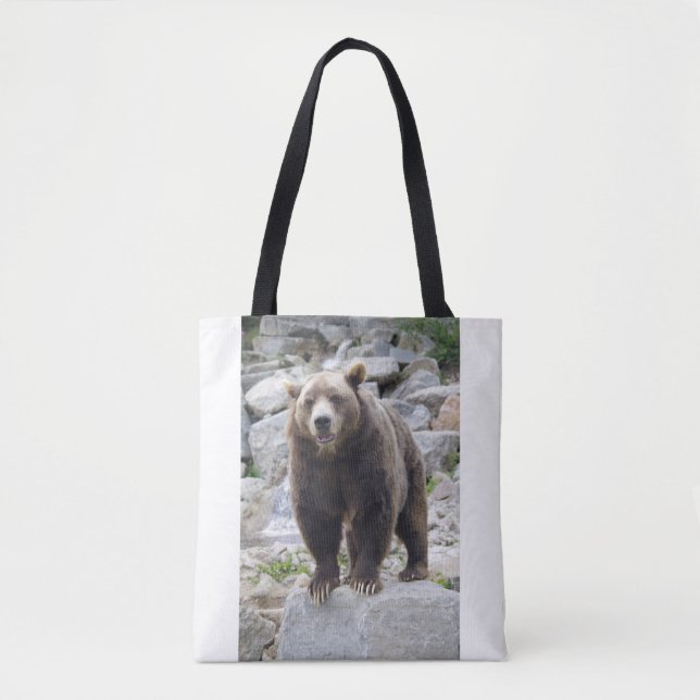 Kodiak Bear (Vorderseite)