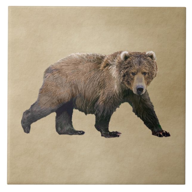 Kodiak Bear Fliese (Vorderseite)