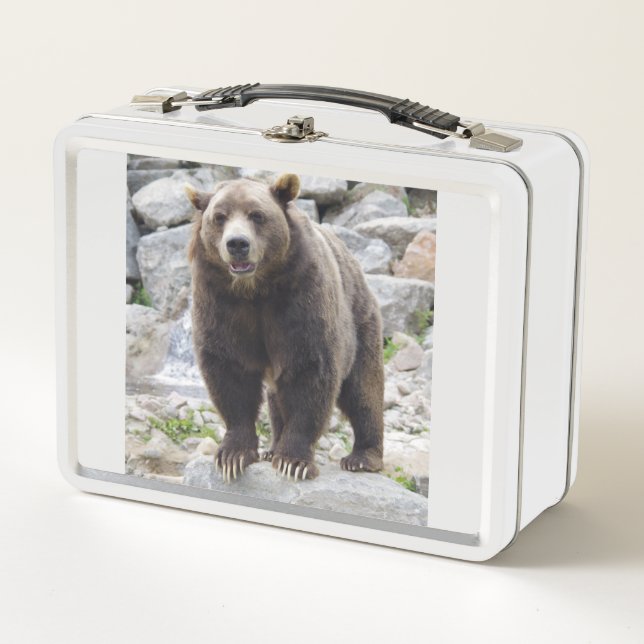 Kodiak Bear Metall Brotdose (Vorderseite)