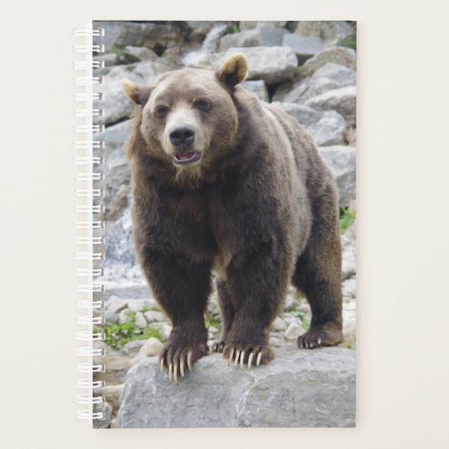 Kodiak Bear Planer (Vorderseite)