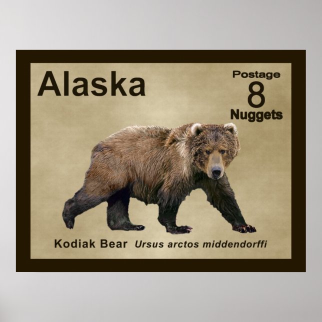 Kodiak Bear Poster (Vorne)