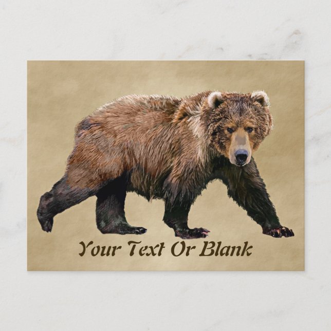 Kodiak Bear Postkarte (Vorderseite)