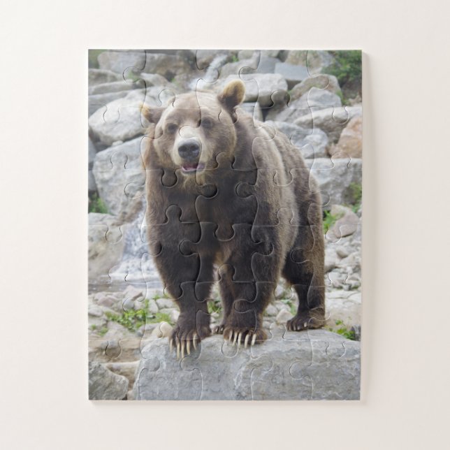 Kodiak Bear Puzzle (Vertikal)