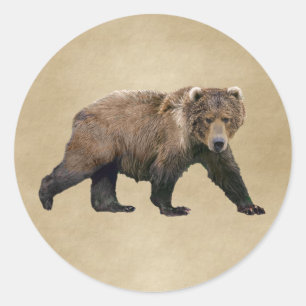 Kodiak Bear Runder Aufkleber