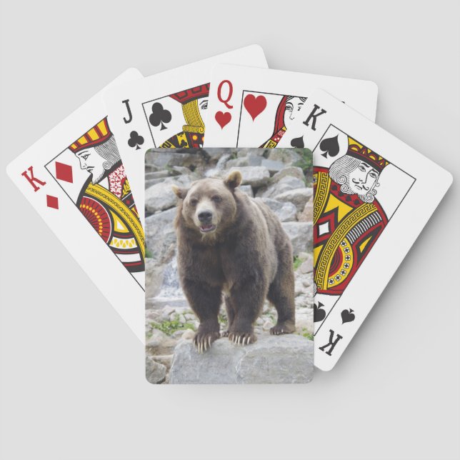 Kodiak Bear Spielkarten (Rückseite)