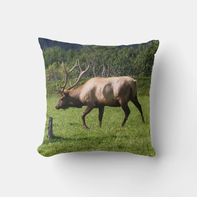 Kodiak, Elk Outdoor Foto Alaska Extravagant Kissen (Vorderseite)