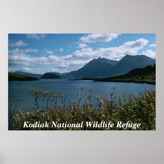 Kodiak National Wildlife Refuge Poster (Vorne)