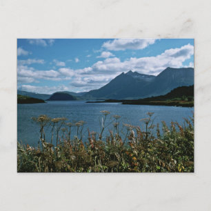 Kodiak National Wildlife Refugium Postkarte