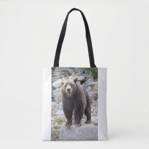 Kodiakbär