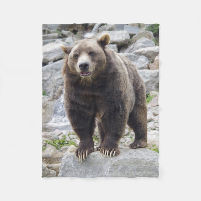 Kodiakbär Fleecedecke (Vorderseite)