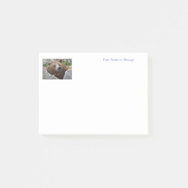 Kodiakbär Post-it Klebezettel (Vorderseite)