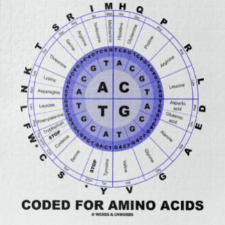 Kodiert für Aminosäuren (genetischer Code DNS) Puzzle